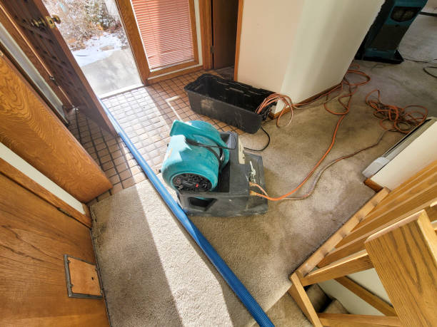 Sewage cleanup and water damage restoration in CO